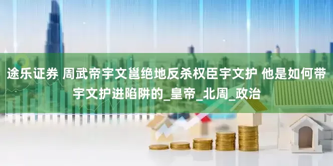 途乐证券 周武帝宇文邕绝地反杀权臣宇文护 他是如何带宇文护进陷阱的_皇帝_北周_政治